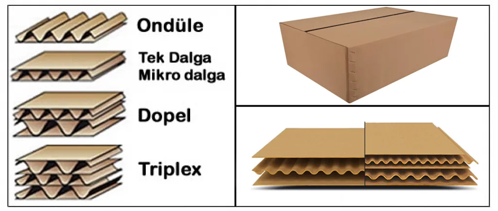Dopel Koli